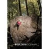 BOULDERN ODENWALD 2.0 - Kletterführer