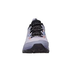 ADIDAS TERREX AX4 GTX W Damen - Wanderschuhe -Outdoor-Bergsteigerausrüstung 5638020578 d terrex ax4 gtx w adidas 24